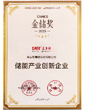Jinchu Award for Innovative Enterprises in the Energy Storage Industry